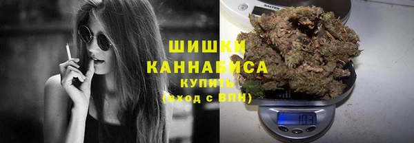 прущие грибы Пестово