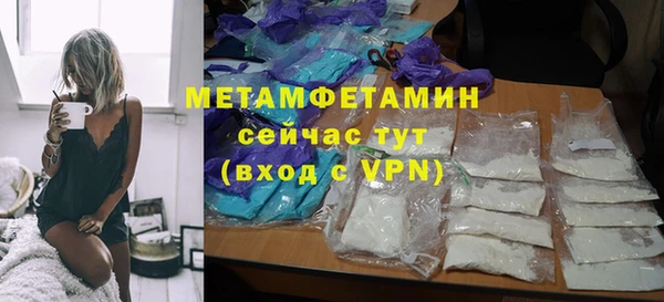 прущие грибы Пестово