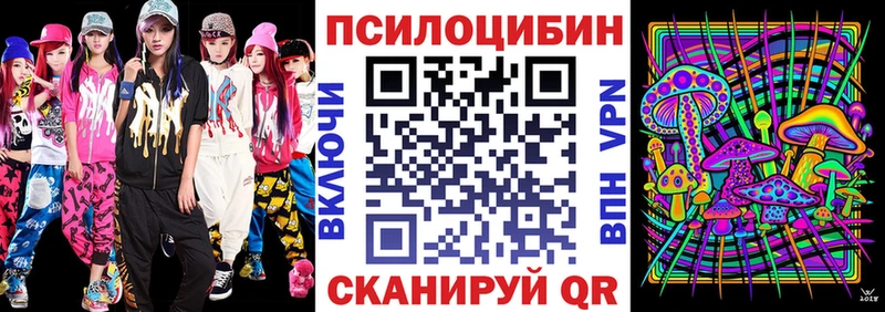 Псилоцибиновые грибы MAGIC MUSHROOMS  дарнет шоп  Бабаево 